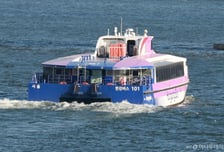 멈춰버린 한강버스…강바닥에 걸려 승객 80여명 발동동