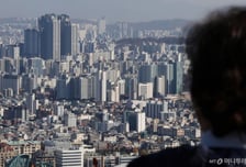 10·15 대책 한 달…거래 '뚝' 끊겼는데도 집값은 '꿈틀'