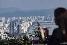 서울시, 전자투표·온라인총회 조합에 1000만원 지원한다