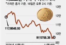"한달새 24% 증발" 코인 개미 비명…"조정" vs "20만 달러 간다"