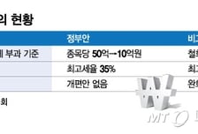 "본격 심사도 안 했는데"…'칼질' 거듭된 세제개편 정부안의 변수