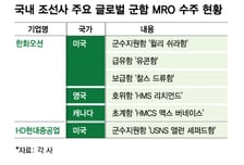 K조선, 글로벌 함정 MRO 시장 공략…빠른 납기·기술력 앞세워
