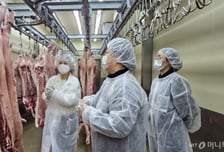 "싱가포르 뚫고 일본시장 향한다"…농식품부, 2030년까지 돼지열병 청정화 '속도'