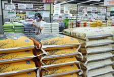 "한국 마트 가서 쓸어오자" 일본인 몰려오나…일본 쌀값, 또 최고치