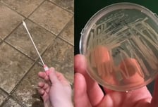 "헬스장서 맨발로 샤워하지 마"…바닥에 세균 '드글' 충격 영상