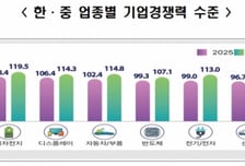 "반도체·조선까지…중국, 5년 후 '10대 주력업종' 한국 추월"