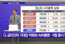 [메가사이클] 냉온탕 오가는 증시, 대응은?