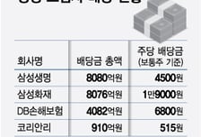 보험사 내년 배당 갈림길…해약환급금 손질되면 "5조 배당" 청신호