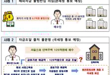 연봉 9000 외국인이 '125억 서울 집' 매입…외국인 주택 이상거래 뜯어보니