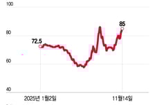 리튬 반등에 탈중국 러브콜까지…'침체 탈출' 준비하는 K-양극재