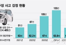 "고령운전자 페달 오조작 방지장치 필요"