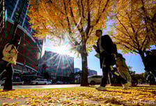 머니투데이 오프라인 헤드라인-17일