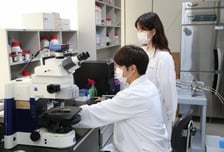 hy, 특허 유산균 HP7 '소화기능 개선' 논문 국제학술지 게재