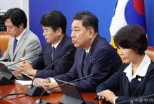 민주당 "한미 협상, 국회 비준동의 대상 아냐…우리만 손발 묶여"