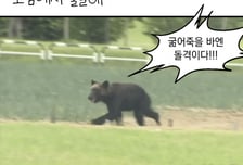 [곰국툰] 또 나타났다…일본 길거리 불곰의 습격, 대체 왜?
