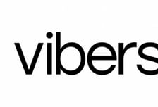 복잡한 AI 도입, 한번에…바이버스, 11억 시드투자 유치