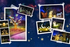 나주시, 별이 내린 '빛의 정원 페스타' 오는 21일 선보여