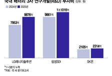 캐즘에도 'K배터리' 연구개발 확대…"中 굴기 맞서는 건 기술력"