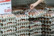 겨울철 고병원성 AI 확산 비상…계란값 상승 우려