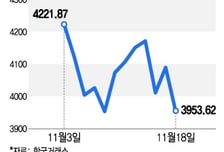 사천피 깨져도 "싸다!" 개미 1.2조 베팅…이제 시선은 '엔비디아'로