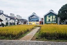 10년만에 '유니콘' 26곳 배출...'제2 마윈' 키우는 엔젤투자촌