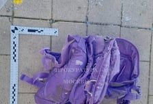 "가방 속에 아이 머리가" 연못에 유기한 범인, 엄마였다…러시아 '발칵'