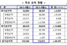 보험사 3분기까지 당기순이익 전년보다 15% '뚝'…손해율 악화