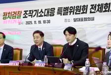 與 "이 대통령 억지기소 정치검찰, 반성 기미가 없어...이제 수사 주체 아닌 객체"