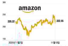 AI 버블 해소 중?…매그니피센트 7 중 3개가 조정장, 1개는 침체장