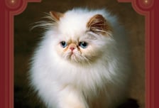 여의도 지하벙커, 혁신 문화공간으로…세계적 작가 전시 개최