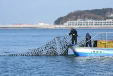 검은 반도체 '김', 세계 규격 제정 위한 '첫 발'…세계화 '박차'