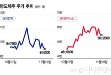 AI 공포에 국내증시 흔들…증권가 "버블 논할 단계 아냐"