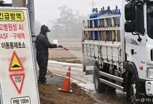 "또…또" 반복되는 AI 검출…중국산 '열처리 가금육' 검역 강화 필요