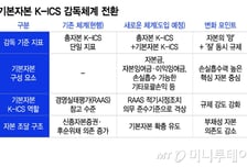 킥스 규제 앞둔 보험업계… 출발선 '줄다리기'