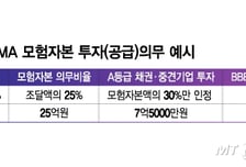 '안전자산·우량기업' 쏠림 제한… 자금, 모험있게 굴려야