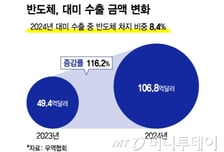 트럼프, 반도체 관세도 미룰 듯…"미중갈등·물가상승 우려 반영"