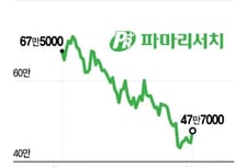 주가 300% 뛰더니…"71만원이 47만원 됐다" 이 종목, 반등 가능할까