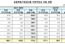 삼성·현대차·한화 등 금융복합기업 자본적정성 '양호'