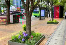 2년만에 여의도공원 3배 정원 조성… 서울 '5분 정원도시' 눈앞