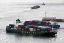 2시간반 헤엄쳐 '밀입국 시도'…'불법 체류 전과' 외국인, 또 들어왔다