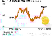 엔저까지 '부채질'… "당분간 고환율 지속"