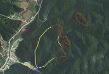 인제 산불 진화율 41%…"일출에 맞춰 헬기 25대 투입 예정"