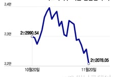 급등에서 급락으로…엔비디아도 못 살린 美 증시 미스터리 하락