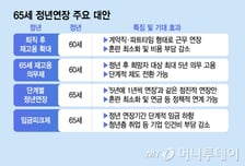 65세 정년연장의 대안은…퇴직 후 재고용? 임금피크제? 기업이 선택?