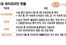 VRN11 앞세워 고공행진 보로노이…후속 파이프라인 순항에 추가 기대감↑