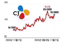 올리브영 합병설에 CJ 주가 '흔들'…IPO 언제쯤