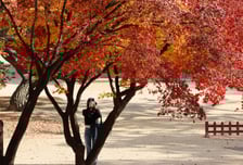 [내일 날씨] 주말 평년보다 따뜻…일교차 15도 안팎