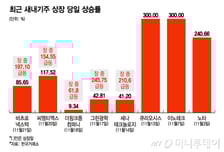 연말 IPO 시장 훈풍… 증권가 '내년은 2021 AGAIN'