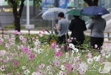 [오늘날씨]하루종일 흐리고 쌀쌀…동해안 건조, 산불조심