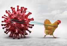 '변종 조류독감' 최초 감염자 사망..."사람 간 전파 증거는 없어"